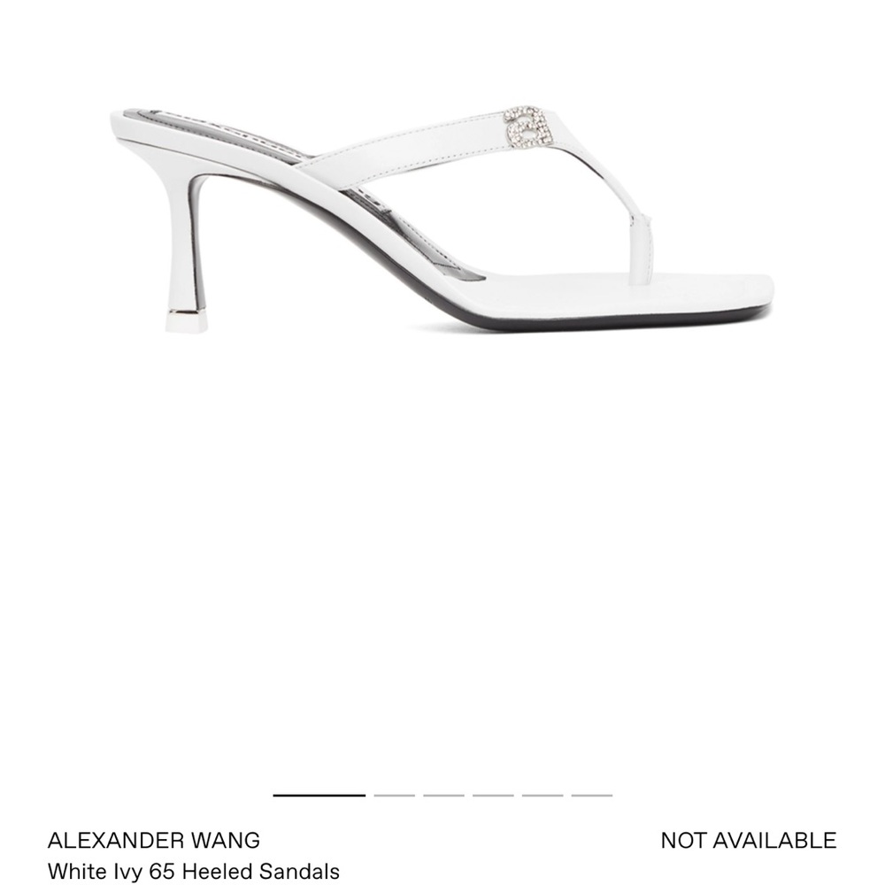 Alexander wang heels